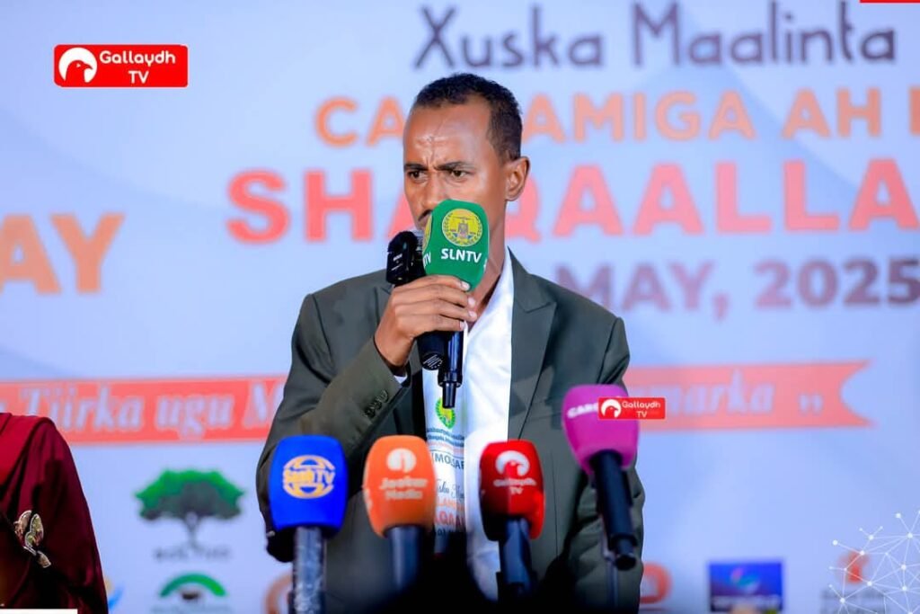 Small Business and Livelihood Support 